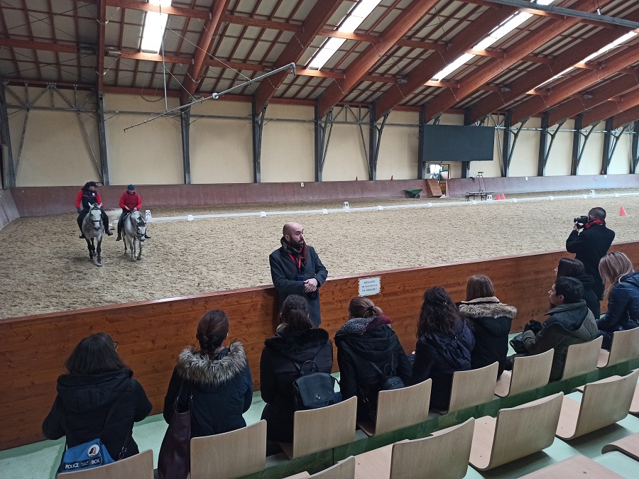 Dakovo State Stud Farm